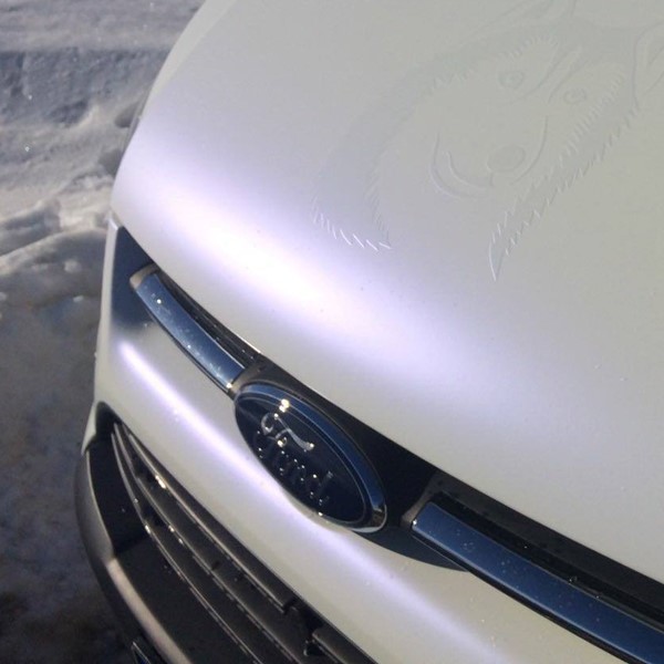 K75584 Matt Blue White Pearlescent Cast (12)